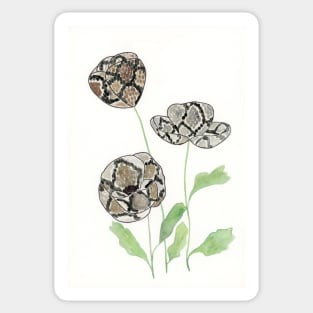 Wild Flowers - Snake Sticker